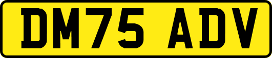 DM75ADV