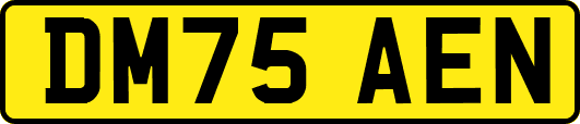 DM75AEN