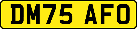 DM75AFO