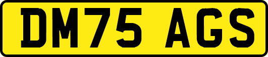 DM75AGS