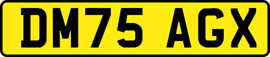DM75AGX