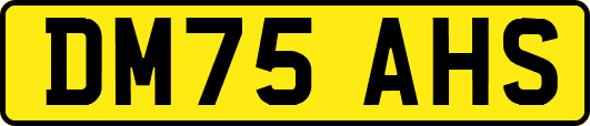 DM75AHS
