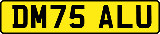 DM75ALU