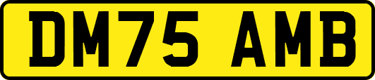 DM75AMB