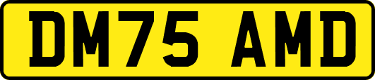 DM75AMD