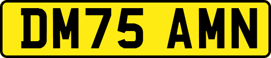 DM75AMN