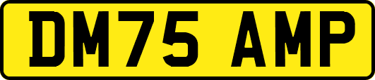 DM75AMP
