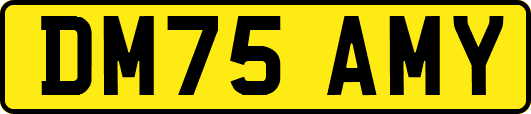 DM75AMY