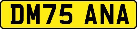 DM75ANA
