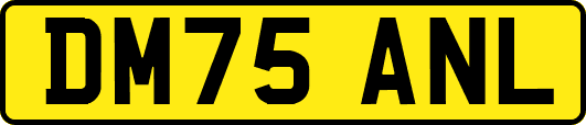 DM75ANL