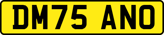 DM75ANO