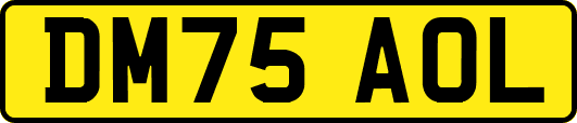 DM75AOL