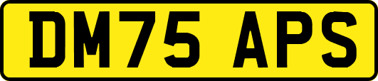 DM75APS