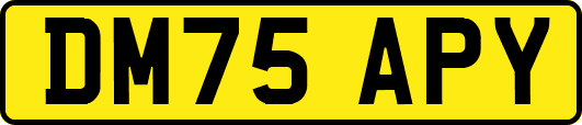 DM75APY