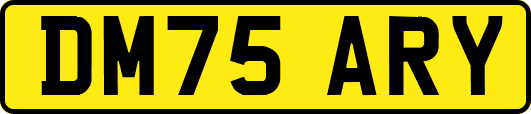 DM75ARY