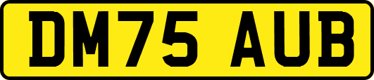 DM75AUB