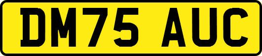DM75AUC