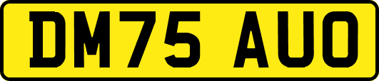 DM75AUO
