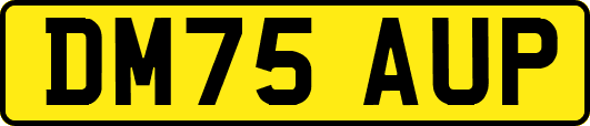 DM75AUP