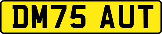DM75AUT