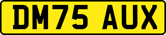 DM75AUX