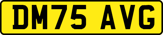 DM75AVG