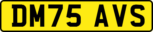 DM75AVS