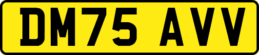 DM75AVV