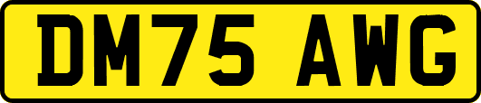 DM75AWG