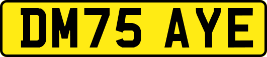 DM75AYE