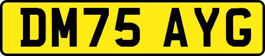 DM75AYG