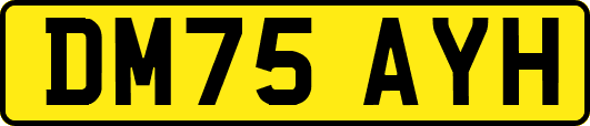 DM75AYH