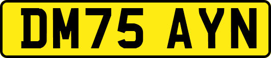 DM75AYN