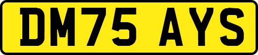 DM75AYS