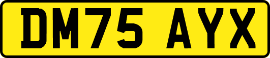 DM75AYX