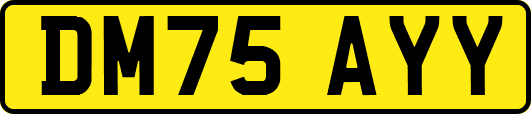DM75AYY