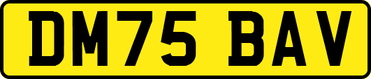 DM75BAV