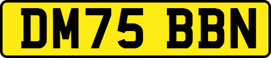 DM75BBN