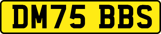 DM75BBS