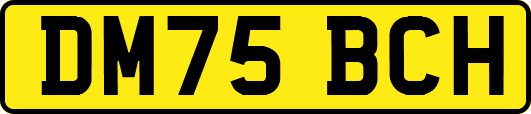 DM75BCH
