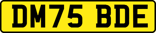 DM75BDE