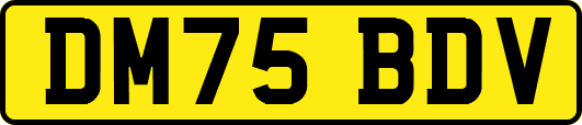 DM75BDV