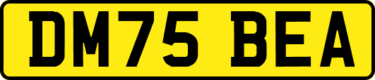 DM75BEA