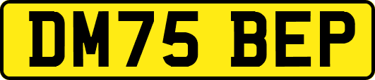 DM75BEP
