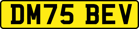 DM75BEV