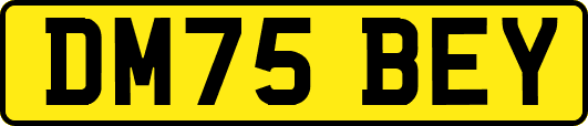 DM75BEY