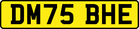 DM75BHE
