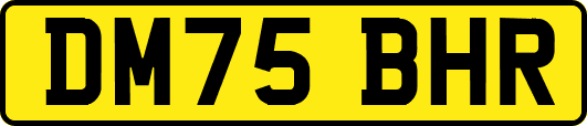 DM75BHR