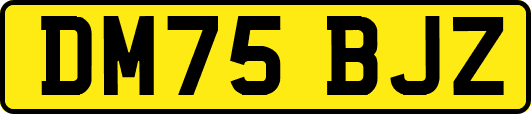 DM75BJZ