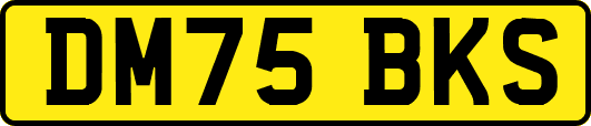 DM75BKS